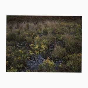 Ellie Davies, Seascapes 4, 2020, Impresión