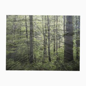 Ellie Davies, Seascapes 5, 2020, Impression