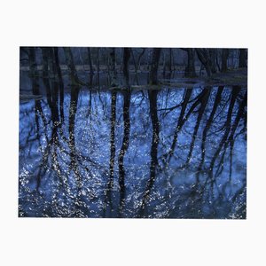 Ellie Davies, Seascapes 7, 2020, Impresión