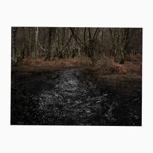 Ellie Davies, Seascapes 8, 2020, Print