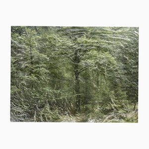 Ellie Davies, Seascapes 9, 2020, Impression