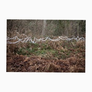 Ellie Davies, Knit One Pearl One 8, 2011, Photographie