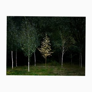 Ellie Davies, Smoke and Mirrors 3, Impression