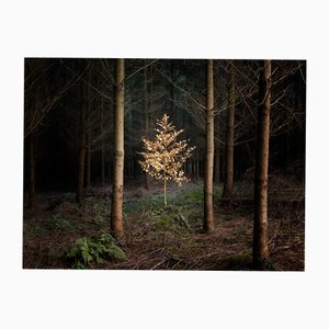 Ellie Davies, Smoke and Mirrors 5, Impression