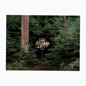 Ellie Davies, Smoke and Mirrors 6, Print