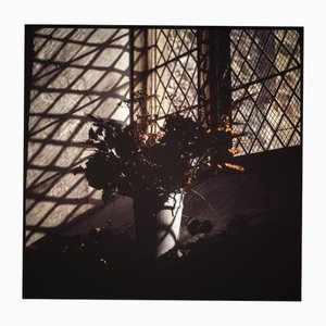 Paul Cooklin, Silence II, C Type Photograph, Limited Edition of 10