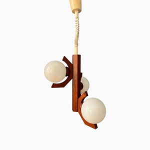 Mid-Century Brown Pendant Lamp with Opaline Glass Shades from Bony