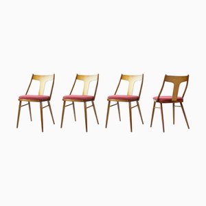 Dining Chairs in Wood and Pink from Tatra, 1960s, Set of 4