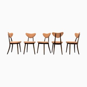 Dining Chairs by H & J Kurmanowicz, Poland, 1950s, Set of 5