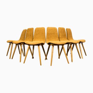 Vintage Dining Chairs, Poland, 1960s, Set of 6
