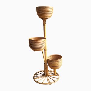 Rattan Pflanzenhalter, 1960er
