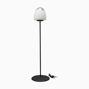 EBE 34 Floor Lamp by Giusto Toso for Leucos, Italy, 1970s