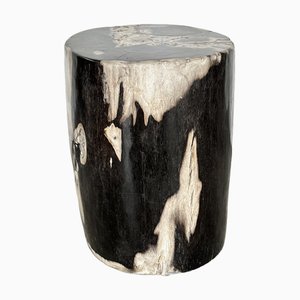 Side Table in Petrified Wood