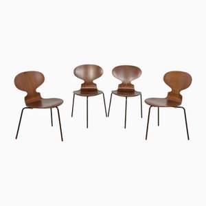 Sillas Ant modelo 3101 de teca de Arne Jacobsen para Fritz Hansen, Dinamarca, años 70. Juego de 4