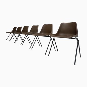 Polyprop Stühle von Robin Day für Hille, 1960er, 6er Set