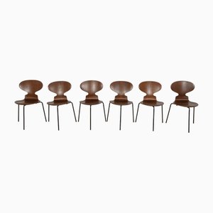 Ant Chairs Model 3101 in Teak by Arne Jacobsen for Fritz Hansen, Denmark, 1970s, Set of 6
