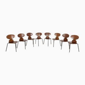 Ant Chairs Model 3101 in Teak by Arne Jacobsen for Fritz Hansen, Denmark, 1970s, Set of 8
