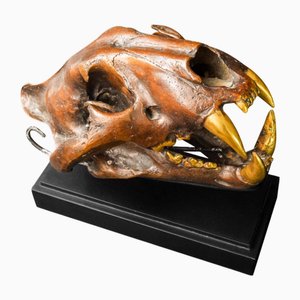 Realistic Bronze Lion Skull Sculpture, 2000s