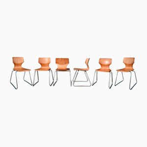 Stühle von Elmar Flötotto für Pagholz Flötotto, 1970er, 6er Set