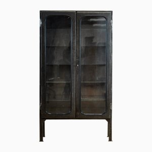 Polierter Arztschrank, 1970er