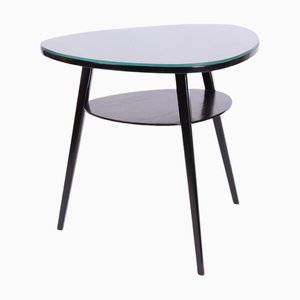 Table Basse Mid-Century en Hêtre, Chêne et Verre, République Tchèque, 1950s