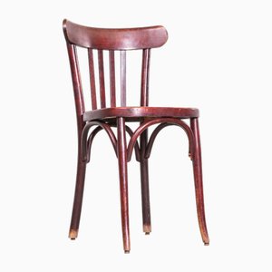Vintage Tri-Latten Esszimmerstuhl aus Bugholz, 1950er