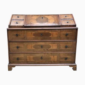 Antica Trentina Lastronata Flap Secretaire