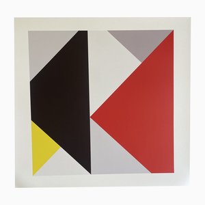 Theo Van Doesburg, Contre-Composition XIII, 1925-1926, Impression