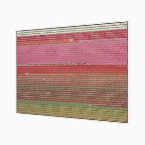 Bernhard Lang, av_tulip_fields_035, fotografía de edición limitada de gran tamaño