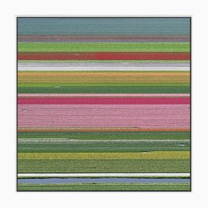 Bernhard Lang, av_tulip_fields_014 Taille A, Tirage d'art en édition limitée