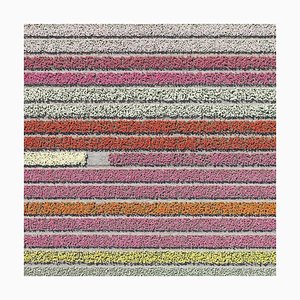 Bernhard Lang, av_tulip_fields_028 : vue aérienne, photographie en édition limitée