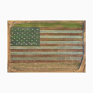 Bernhard Lang, av_california_plants_022, Limited Edition Fine Art Photograph