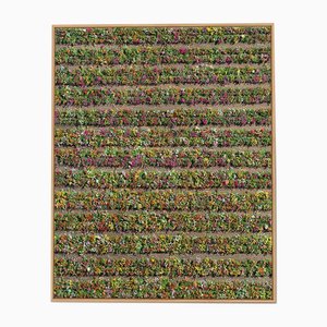 Bernhard Lang, av_california_plants_020, Limited Edition Fine Art Photograph