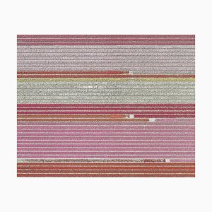 Bernhard Lang, av_tulip_fields_005, tirage d'art en édition limitée