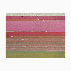 Bernhard Lang, av_tulip_fields_035: Vista aérea, fotografía de edición limitada