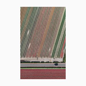 Bernhard Lang, av_tulip_fields_010: Vista aérea, fotografía de edición limitada