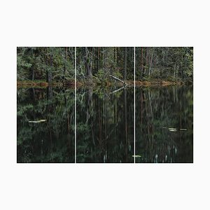 Bernhard Lang, deep_mirroring_forest_006 Triptych, Limited Edition Fine Art Photography, Set of 3