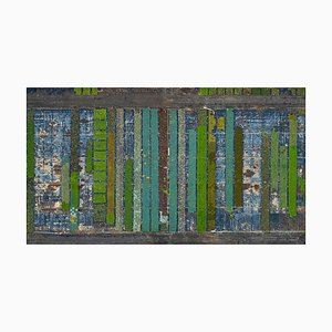 Bernhard Lang, av_california_plants_009, fotografía de bellas artes de edición limitada