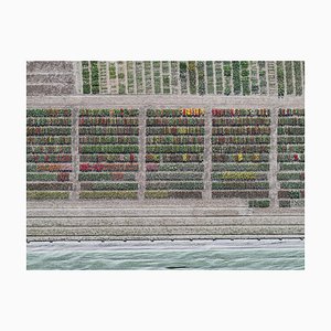 Bernhard Lang, av_tulip_fields_008, Impresión fotográfica de edición limitada