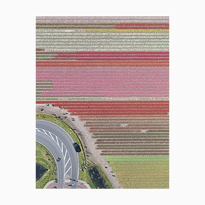 Bernhard Lang, AV_Tulip_Fields_029, Fotografía
