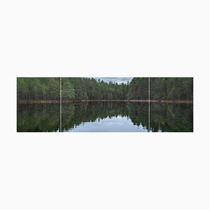 Bernhard Lang, Deep_Mirroring_Forest_014 Triptych, Photographs, Set of 3