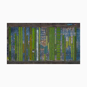 Bernhard Lang, AV_California_Plants_010, Photograph