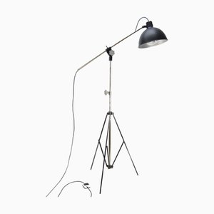Lampada da terra Mid-Century industriale