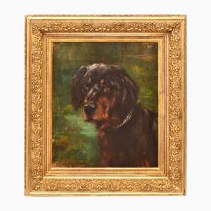 Edmond Van Der Meulen, Retrato de perros negros, Setter Gordon, óleo sobre lienzo, del siglo XIX, enmarcado