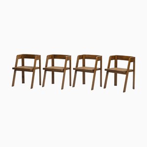 Chairs by Tito Agnoli for Citterio Spa, 1970s, Set of 4