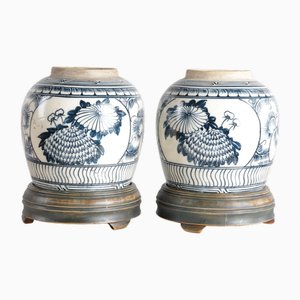 Chinesische Ingwertöpfe, 1900, 2er Set