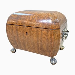 Regency Elm Curved Bombe Tea Caddy, 1835