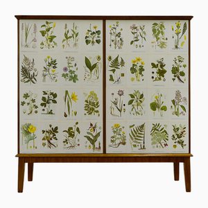 Meuble Flora Moderne avec Illustrations par CAM Lindman, Suède, 1940s