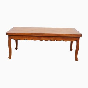 Large Dining Table with Extensions, 1990s