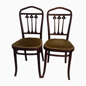 Set of Chairs from Gebrüder Thonet Vienna Gmbh, 1910